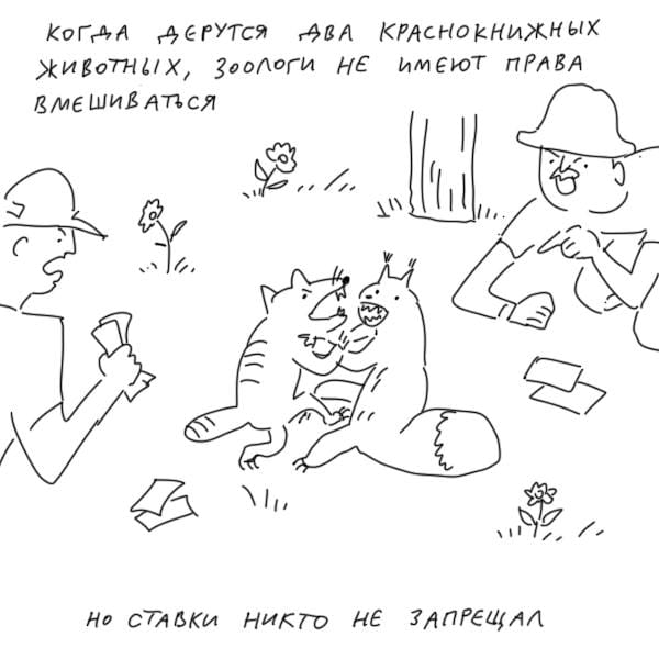 КОГДА ДЕРУТСЯ ДВА КРАСНОКНИЖНЫХ ЖИВОТНЫХ, ЗООЛОГИ НЕ ИМЕЮТ ПРАВА ВМЕШИВАТЬСЯ 11, НО СТАВКИ НИКТО НЕ ЗАПРЕЩАЛ