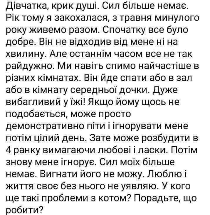 Дівчатка, крик душі. Сил більше немає. Рік тому я закохалася, з травня минулого року живемо разом. Спочатку все було добре. Він не відходив від мене ні на хвилину. Але останнім часом все не так райдужно. Ми навіть спимо найчастіше в різних кімнатах. Він йде спати або в зал або в кімнату середньої дочки. Дуже вибагливий у їжі! Якщо йому щось не подобається, може просто демонстративно піти і ігнорувати мене потім цілий день. Зате може розбудити в 4 ранку вимагаючи любові і ласки. Потім знову мене ігнорує. Сил моїх більше немає. Вигнати його не можу. Люблю і життя своє без нього не уявляю. У кого ще такі проблеми з котом? Порадьте, що робити?