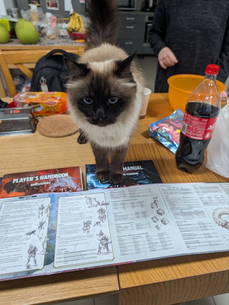 PLAYER'S HANDBOOK КИНГА ИГРОКА MANUAL