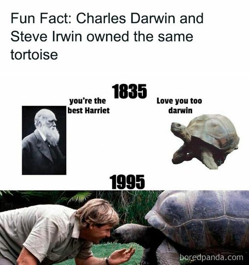 Fun Fact: Charles Darwin and Steve Irwin owned the same tortoise 1835 you're the best Harriet Love you too darwin 1995 boredpanda.com