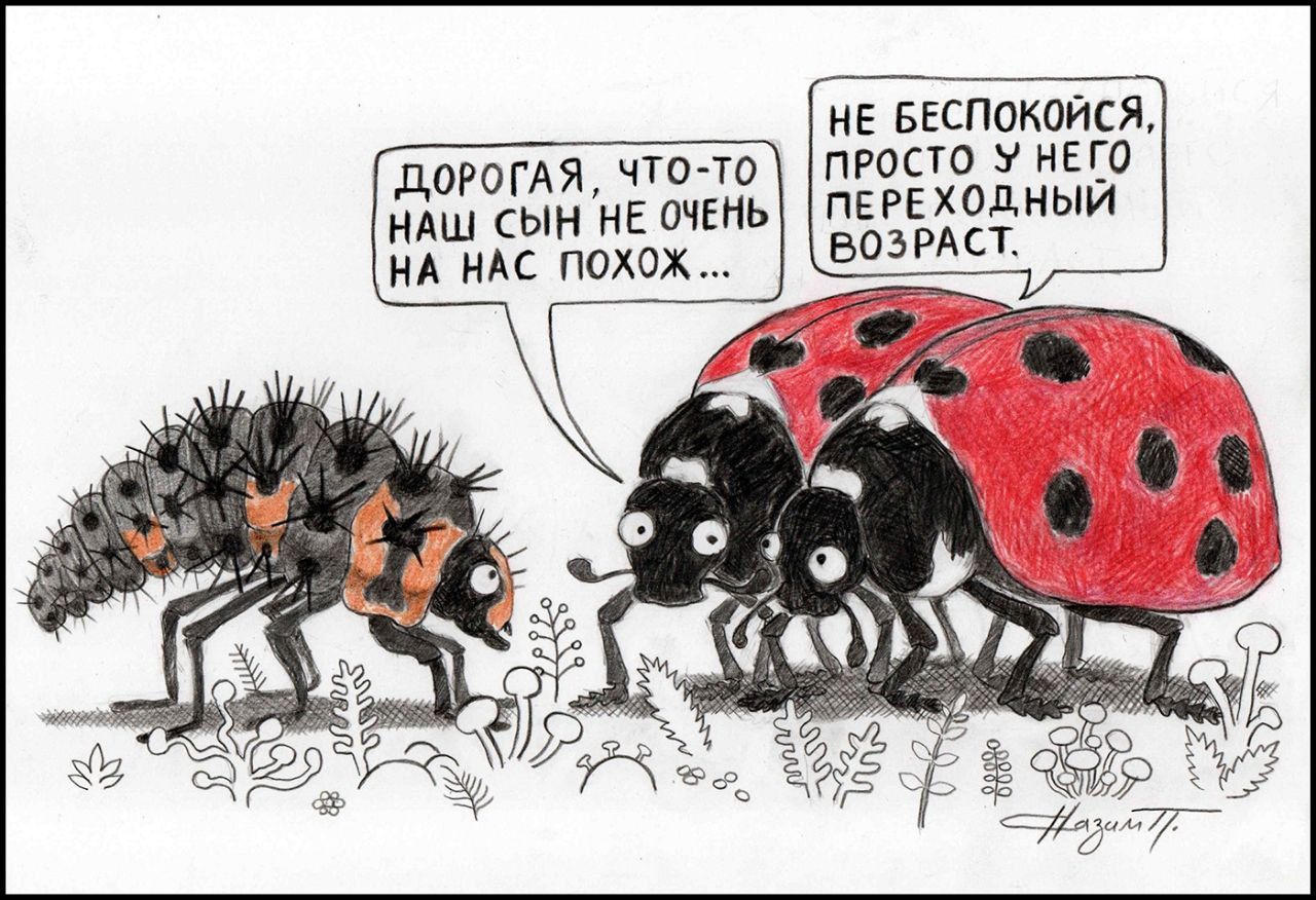 ДОРОГАЯ, ЧТО-ТО НАШ СЫН НЕ ОЧЕНЬ НА НАС ПОХОЖ... НЕ БЕСПОКОЙСЯ, ПРОСТО У НЕГО ПЕРЕХОДНЫЙ ВОЗРАСТ. -Назим?/.