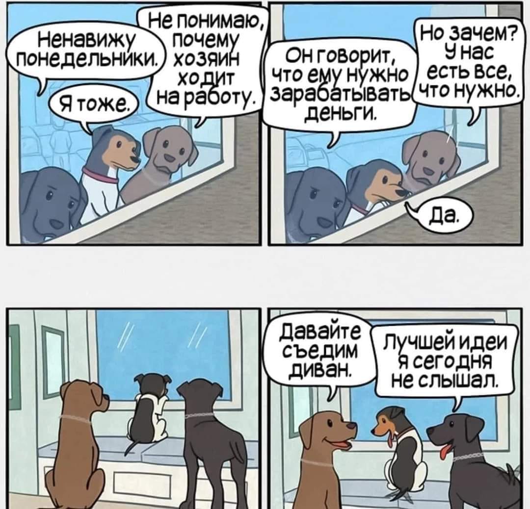 Ненавижу понедельники. Я тоже. не понимаю, почему ХОЗЯИН ХОДИТ на работу. он говорит, что ему нужно зарабатывать деньги. Но зачем? У нас есть все, что нужно. да. Давайте съедим диван. Лучшей идеи я сегодня не слышал.