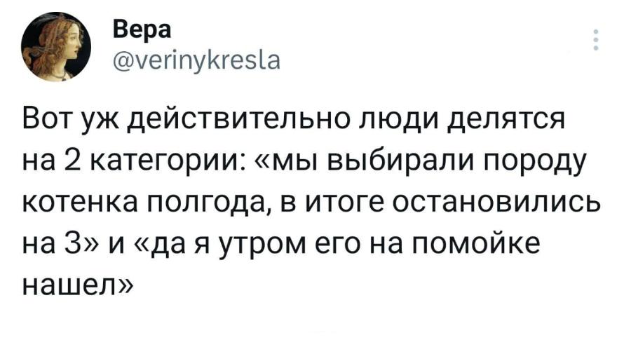 Вера @verinykresla Вот уж действительно люди делятся на 2 категории: &laquo;мы выбирали породу котенка полгода, в итоге остановились на 3&raquo; и &laquo;да я утром его на помойке нашел&raquo;