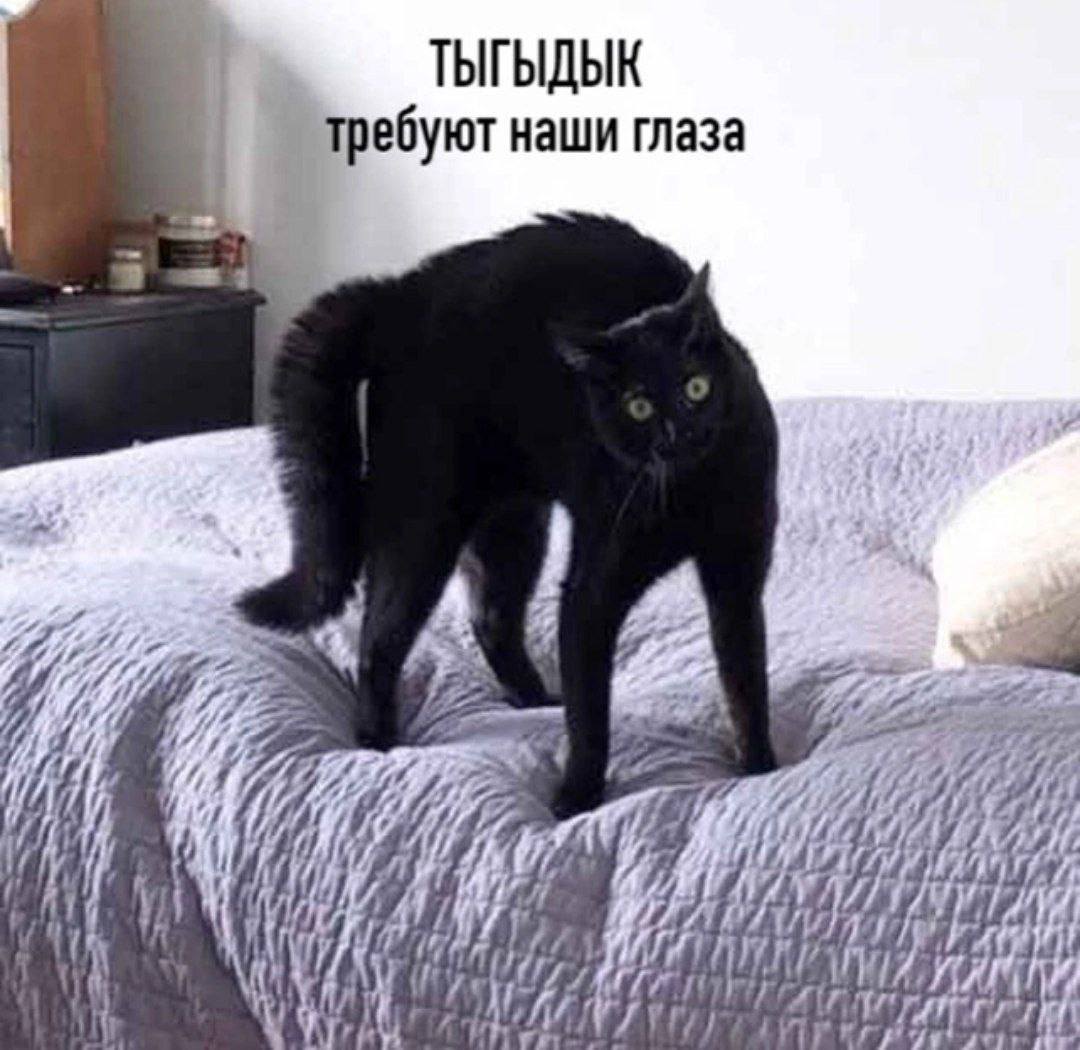 ТЫГЫДЫК требуют наши глаза