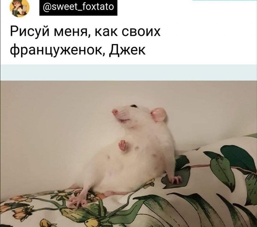 @sweet_foxtato Рисуй меня, как своих француженок, Джек
