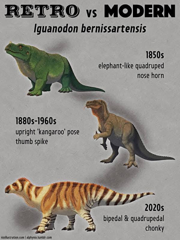 RETRO vs MODERN Iguanodon bernissartensis 1850s elephant-like quadruped nose horn 1880s-1960s upright 'kangaroo' pose thumb spike 2020s bipedal & quadrupedal chonky nixillustration.com| |alphynix.tumblr.com