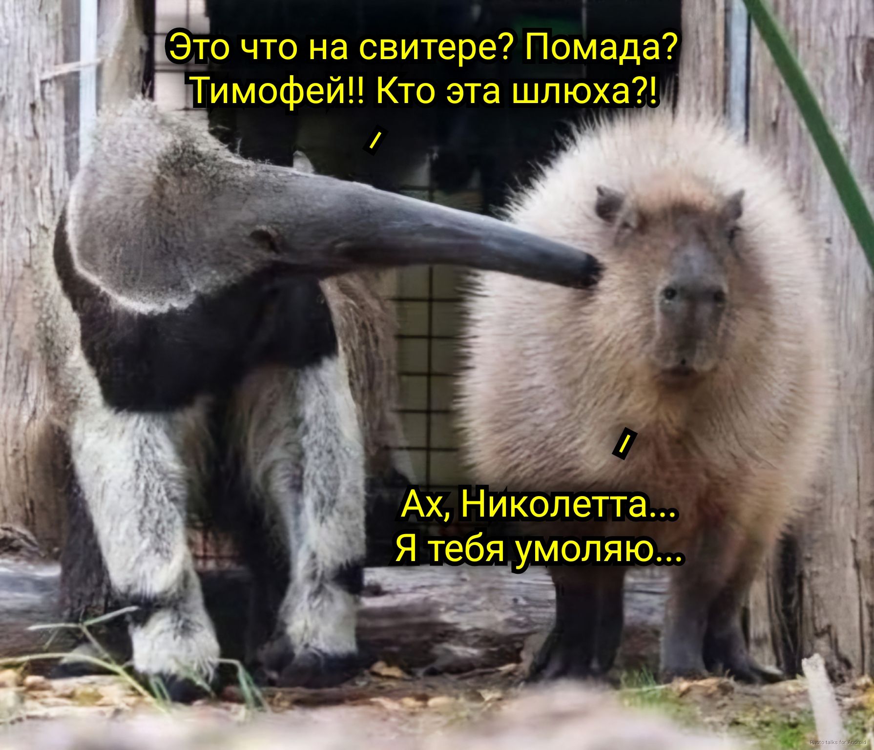 Это что на свитере? Помада? Тимофей!! Кто эта шлюха?! Ах, Николетта... Я тебя умоляю... Pisto talks for Android