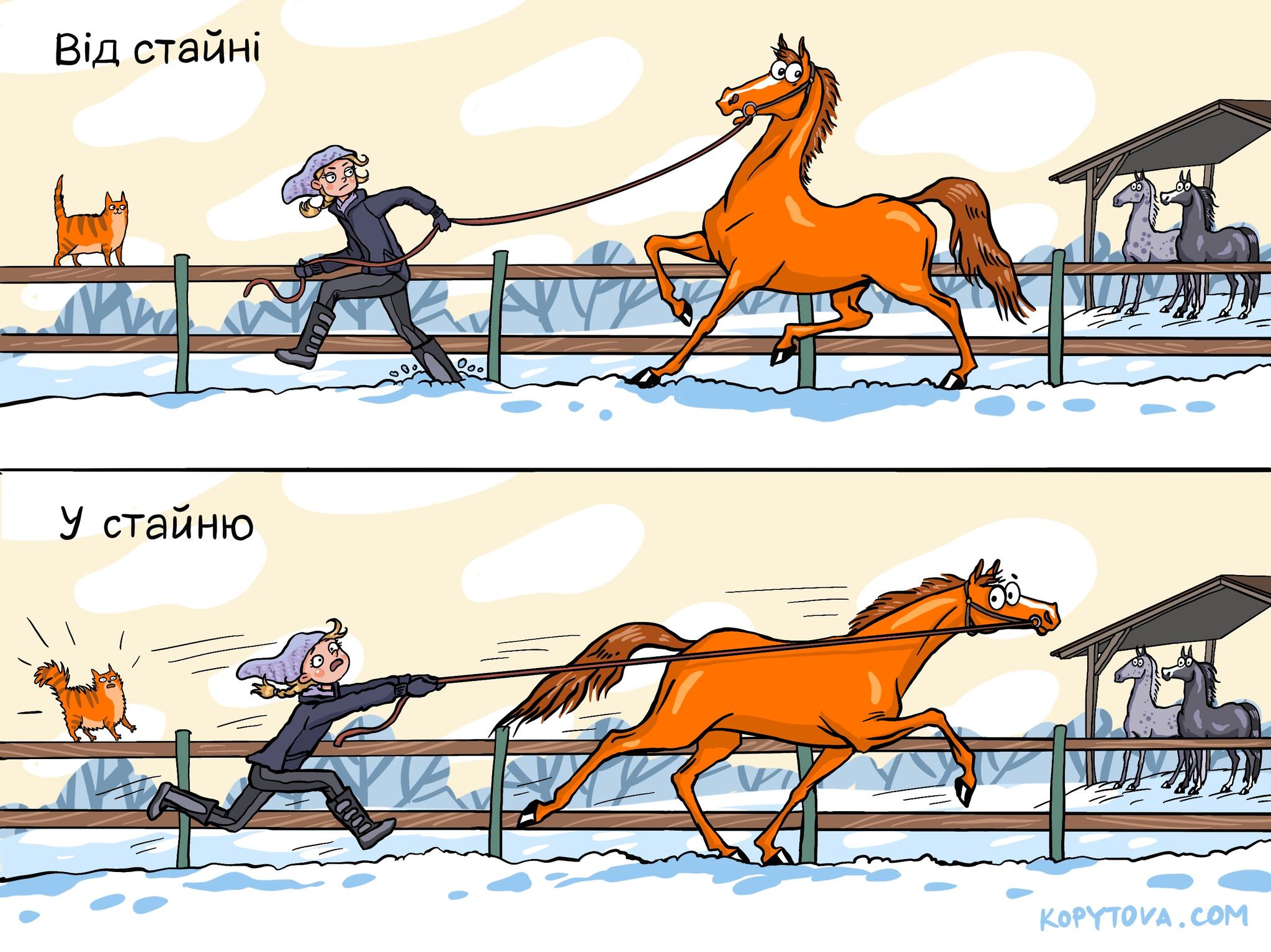 Від стайні У стайню KOPYTOVA.COM