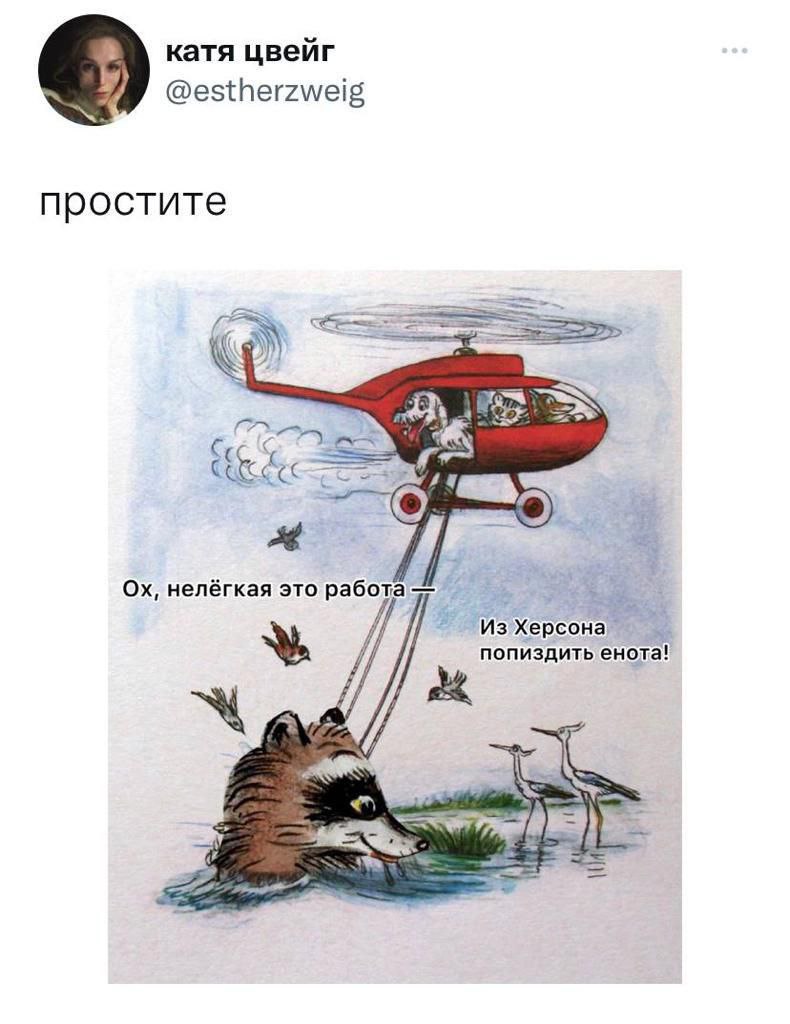 катя цвейг @estherzweig простите Ох, нелёгкая это работа Из Херсона попиздить енота!