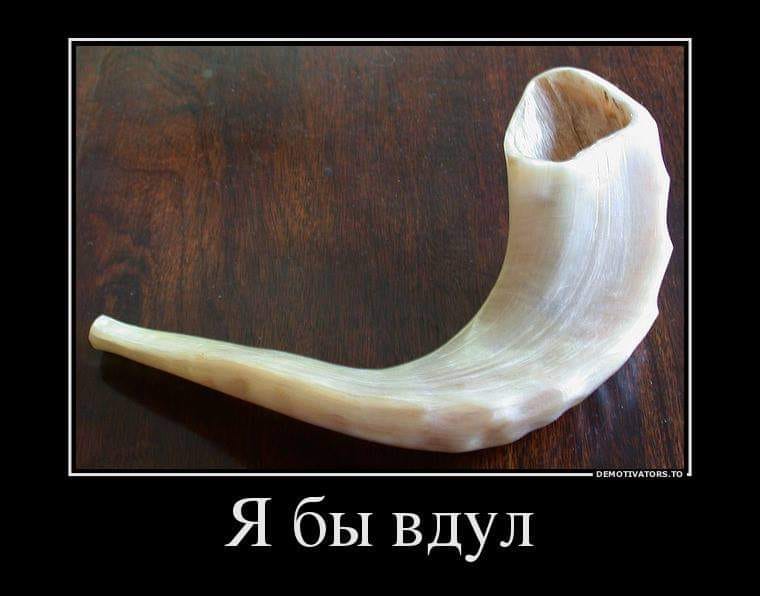 DEMOTIVATORS.TO - Я бы вдул