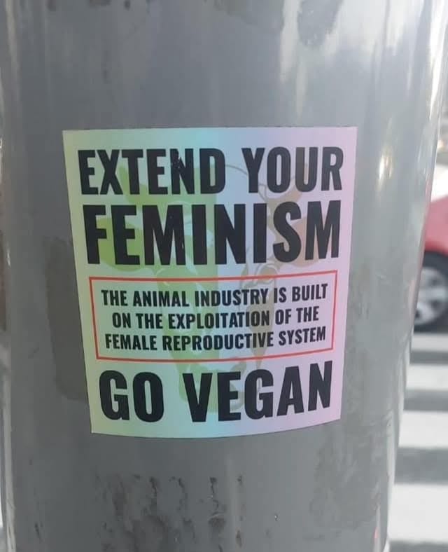 EXTEND YOUR FEMINISM THE ANIMAL INDUSTRY IS BUILT ON THE EXPLOITATION OF THE FEMALE REPRODUCTIVE SYSTEM GO VEGAN