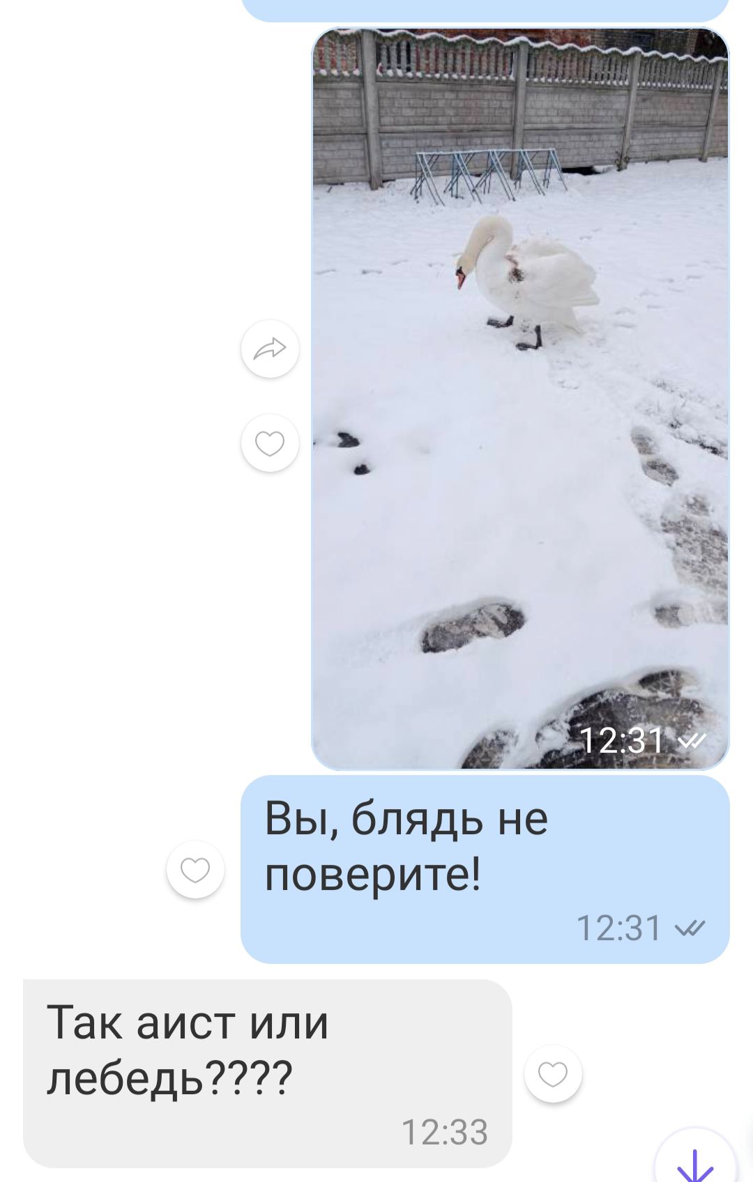 Вы, блядь не поверите! Так аист или лебедь???? 12:33 12:31. 12:31 м