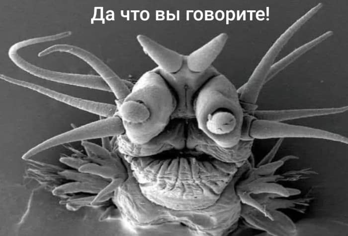 Да что вы говорите!