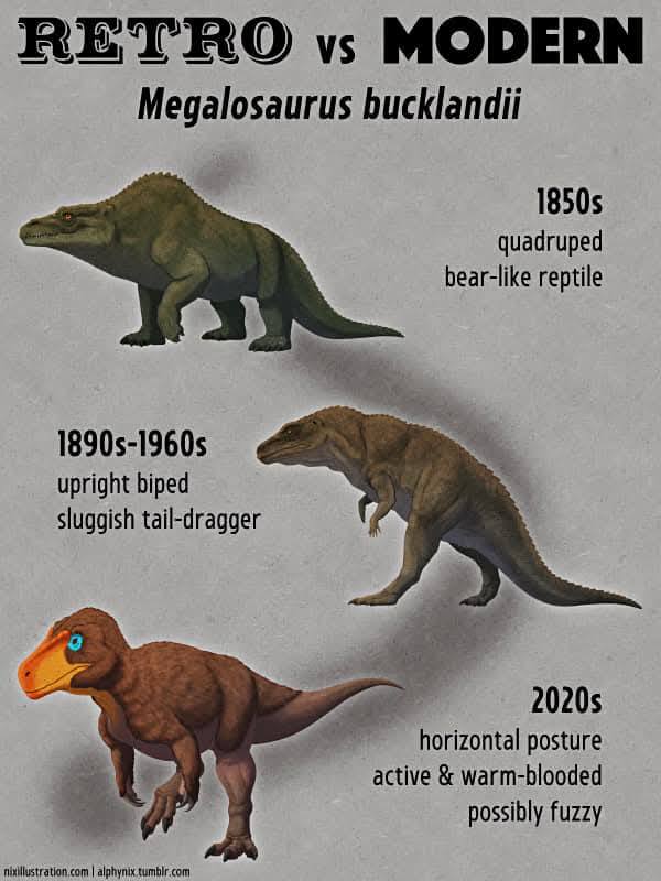 RETRO vs MODERN Megalosaurus bucklandii 1850s quadruped bear-like reptile 1890s-1960s upright biped sluggish tail-dragger 2020s horizontal posture active & warm-blooded possibly fuzzy nixillustration.com/alphynix.tumblr.com