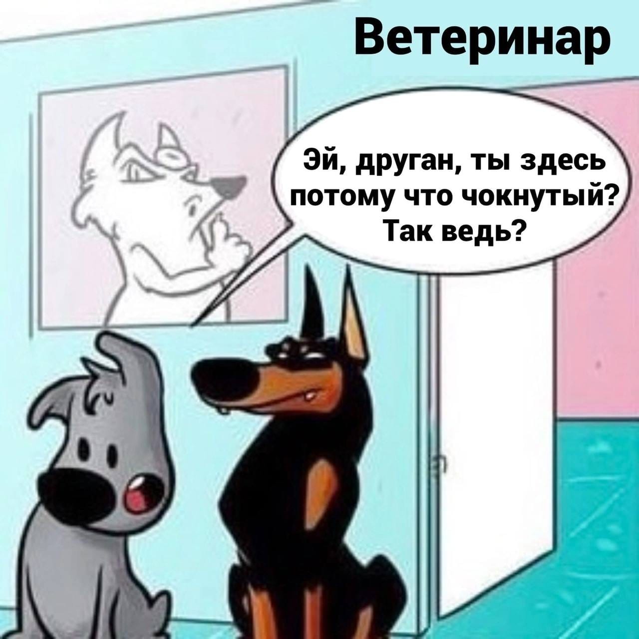 Ветеринар Эй, друган, ты здесь потому что чокнутый? Так ведь?