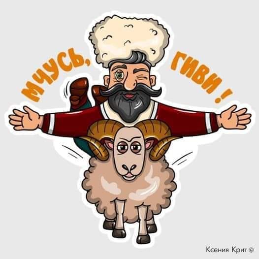 МЧУСЬ, ГИВИ Ксения Крит &reg;