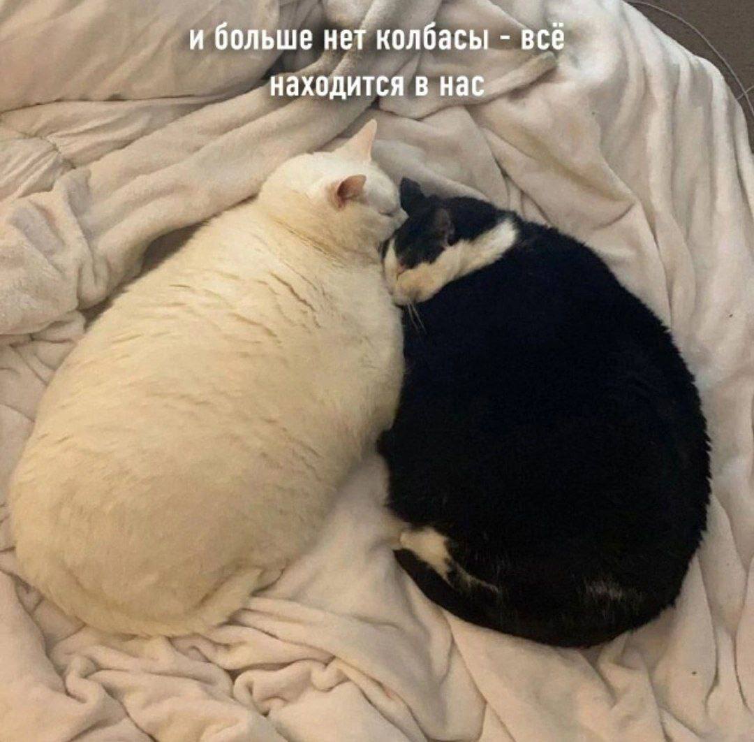 и больше нет колбасы - всё находится в нас