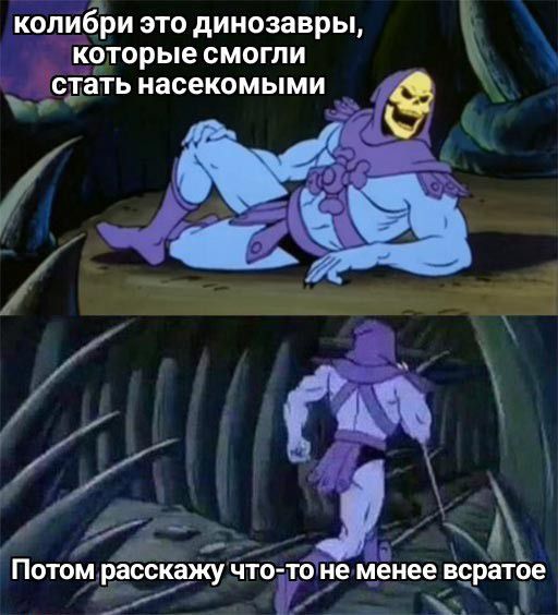 колибри это динозавры, которые смогли стать насекомыми Потом расскажу что-то не менее всратое