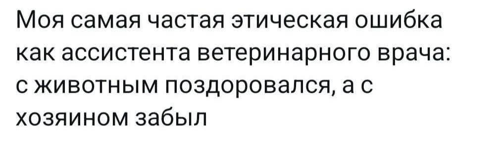 Моя самая частая этическая ошибка как ассистента ветеринарного врача: с животным поздоровался, а с хозяином забыл