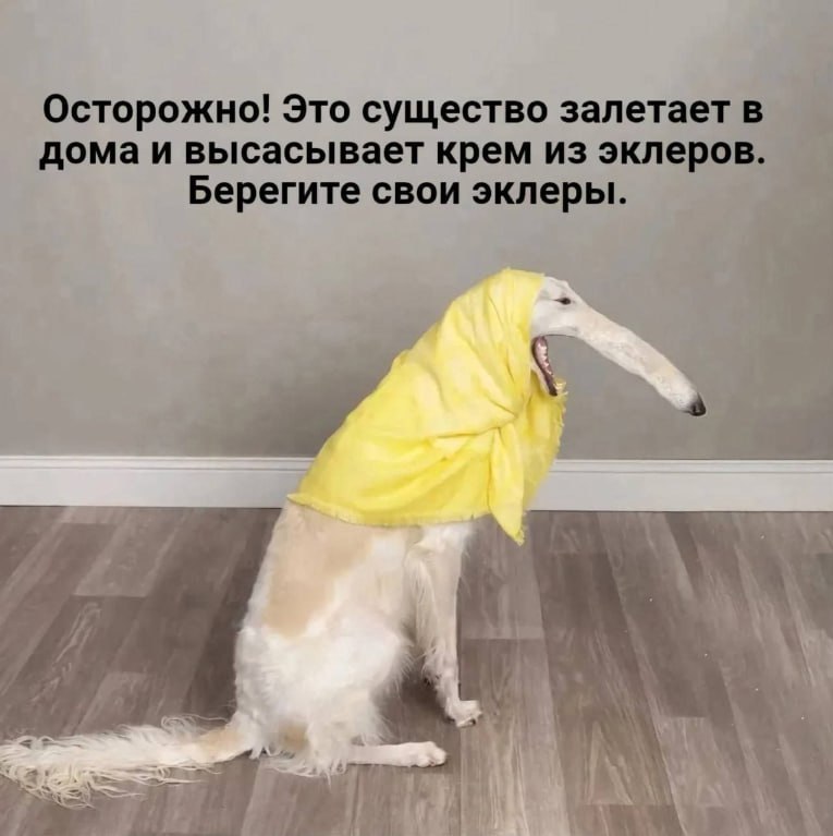 Осторожно! Это существо залетает в дома и высасывает крем из эклеров. Берегите свои эклеры.