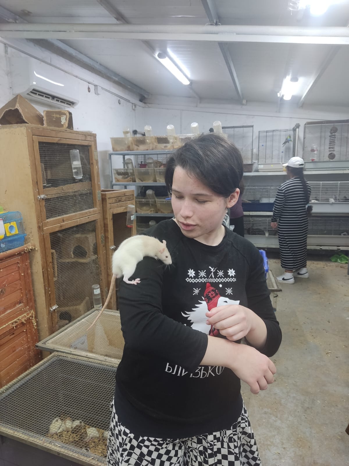 *к Ж * D/IL ,ЗЪKО