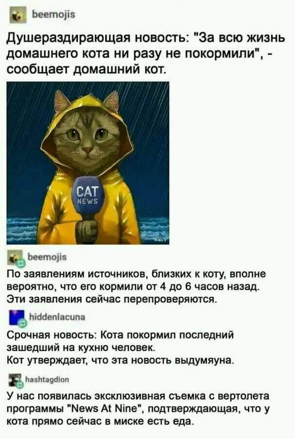 beemojis Душераздирающая новость: "За всю жизнь домашнего кота ни разу не покормили", - сообщает домашний кот. CAT NEWS beemojis По заявлениям источников, близких к коту, вполне вероятно, что его кормили от 4 до 6 часов назад. Эти заявления сейчас перепроверяются. hiddenlacuna Срочная новость: Кота покормил последний зашедший на кухню человек. Кот утверждает, что эта новость выдумяуна. hashtagdion У нас появилась эксклюзивная съемка с вертолета программы "News At Nine", подтверждающая, что у кота прямо сейчас в миске есть еда.