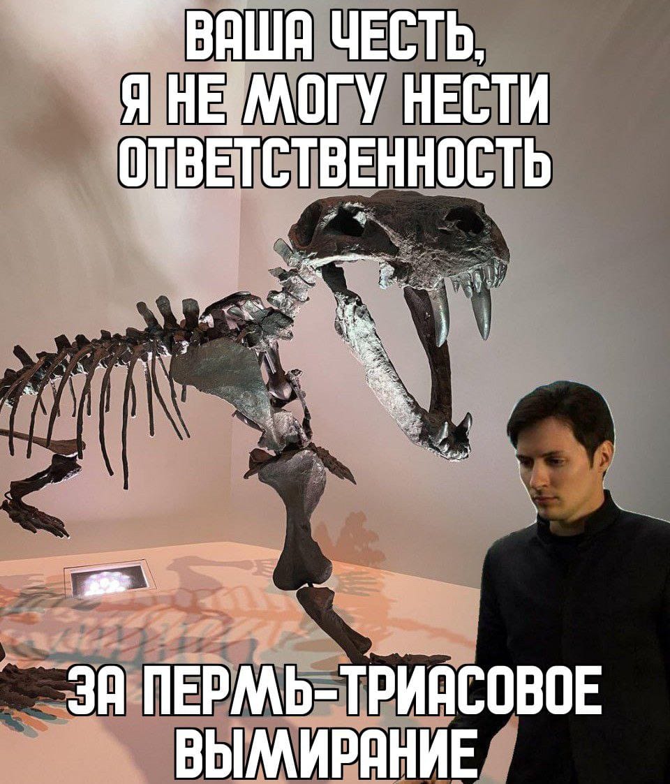 ВАША ЧЕСТЬ, Я НЕ МОГУ НЕСТИ ОТВЕТСТВЕННОСТЬ ЗА ПЕРМЬ-ТРИАСОВОЕ ВЫМИРАНИЕ