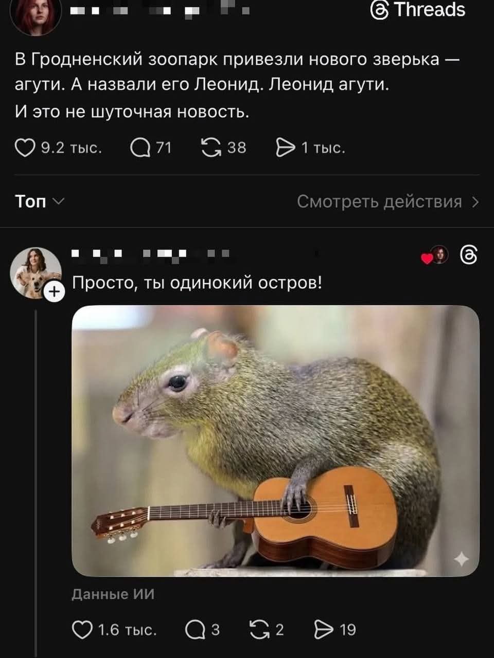 &copy; Threads В Гродненский зоопарк привезли нового зверька - агути. А назвали его Леонид. Леонид агути. И это не шуточная новость. 9.2 тыс. Q 71 S 38 1 тыс. Ton v Смотреть действия > + ". Просто, ты одинокий остров! Данные ИИ 1.6 тыс. Q 3 19