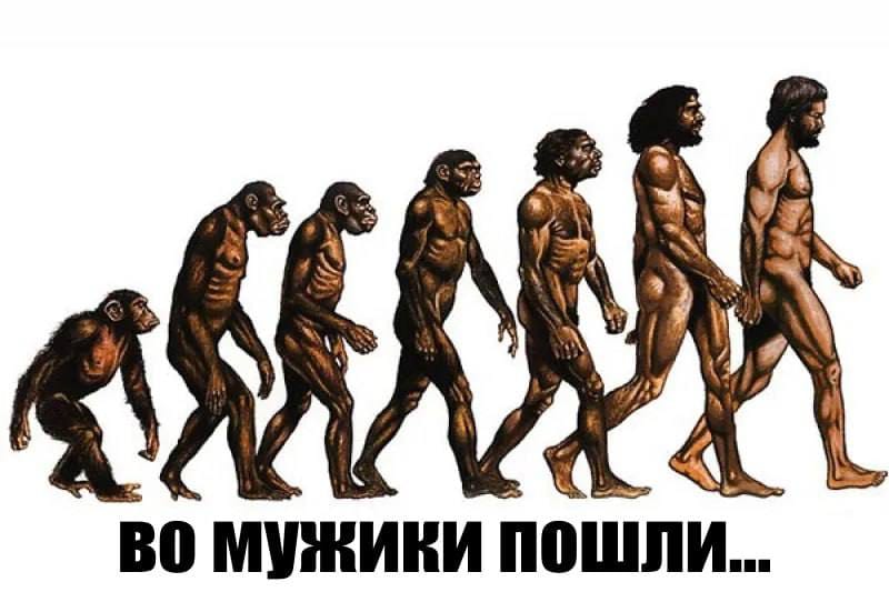 ВО МУЖИКИ ПОШЛИ...