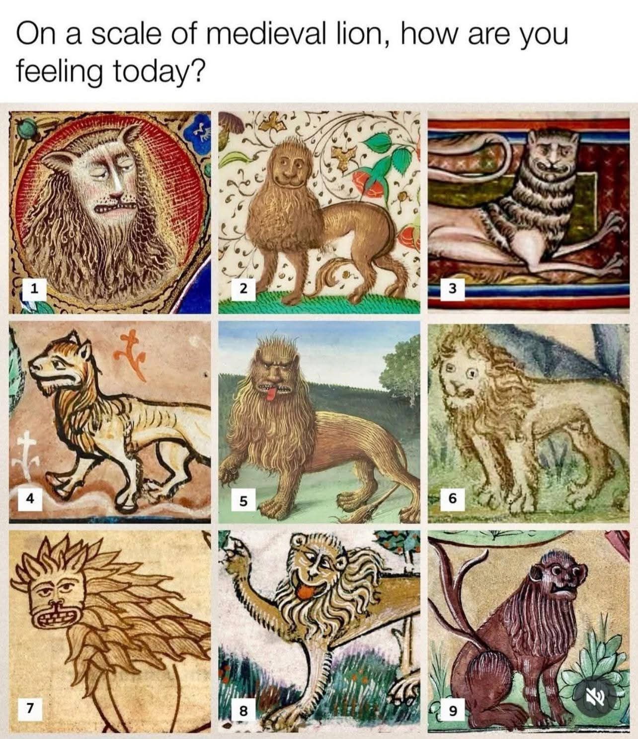 On a scale of medieval lion, how are you feeling today? 1 2 3 4 5 6 7 8 9