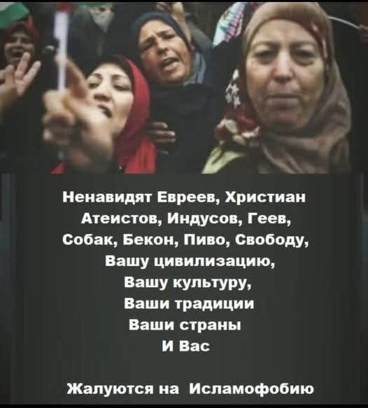 Ненавидят Евреев, Христиан Атеистов, Индусов, Геев, Собак, Бекон, Пиво, Свободу, Вашу цивилизацию, Вашу культуру, Ваши традиции Ваши страны И Вас Жалуются на Исламофобию