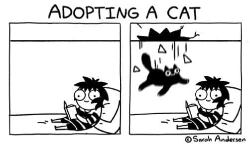 ADOPTING A CAT &copy; Sarah Andersen
