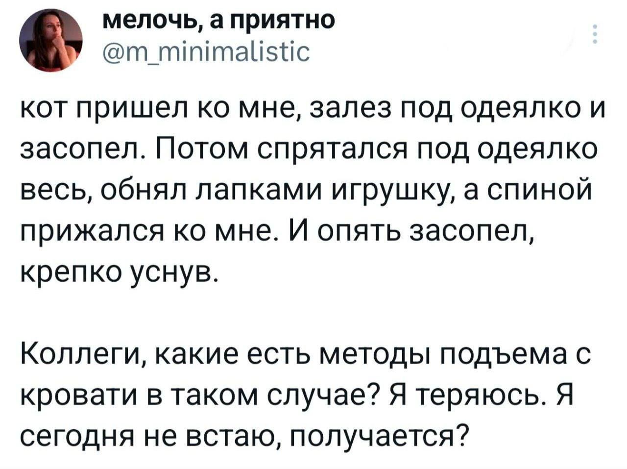 мелочь, а приятно @m_minimalistic кот пришел ко мне, залез под одеялко и засопел. Потом спрятался под одеялко весь, обнял лапками игрушку, а спиной прижался ко мне. И опять засопел, крепко уснув. Коллеги, какие есть методы подъема с кровати в таком случае? Я теряюсь. Я сегодня не встаю, получается?