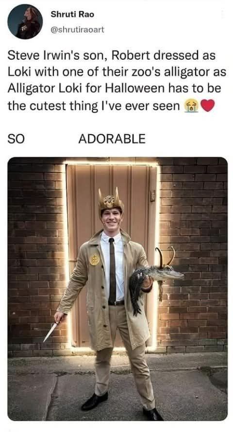 Shruti Rao @shrutiraoart Steve Irwin's son, Robert dressed as Loki with one of their zoo's alligator as Alligator Loki for Halloween has to be the cutest thing l've ever seen SO ADORABLE