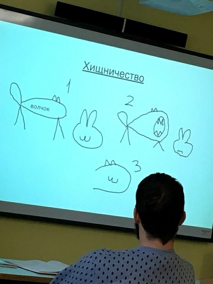 Хищничество 2 ВОЛЧОК