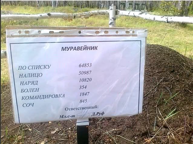 ПО СПИСКУ 64853 НАЛИЦО 50987 НАРЯД 10820 БОЛЕН 354 КОМАНДИРОВКА 1847 СОЧ 845 МУРАВЕЙНИК Ответственный: Д.Руф Мл.c-m
