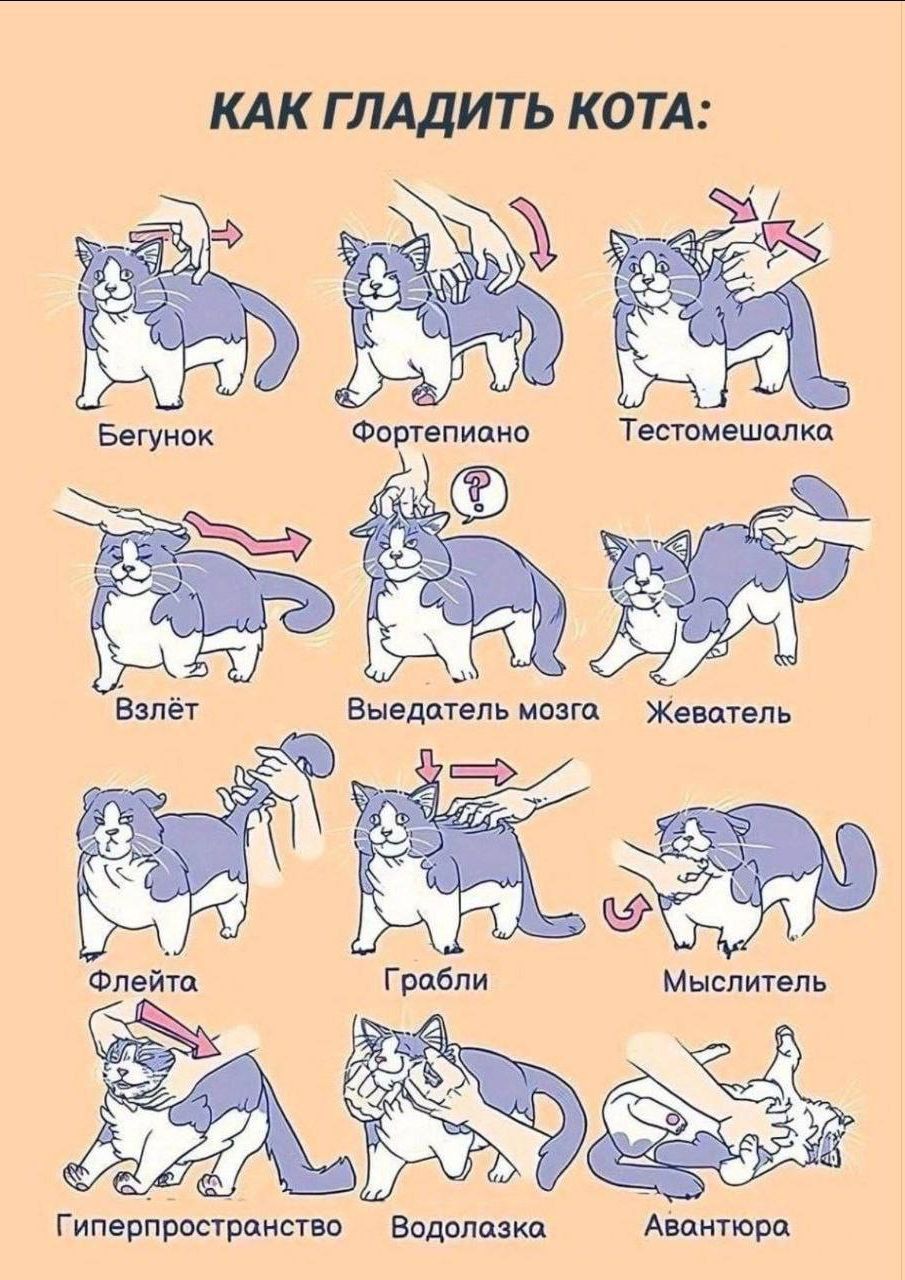 КАК ГЛАДИТЬ КОТА: Бегунок Фортепиано Тестомешалка Взлёт Выедатель мозга Жеватель Флейта Грабли Мыслитель Гиперпространство Водолазка Авантюра