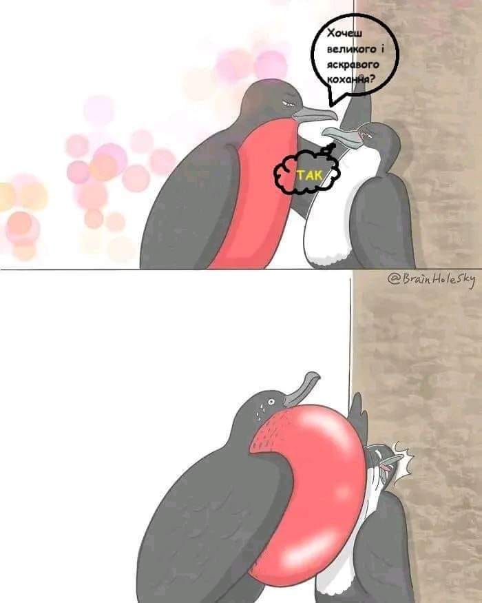 Хочеш великого і яскравого кохання? TAK/ @Brain HoleSky