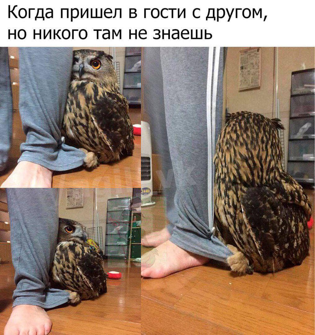 Когда пришел в гости с другом, но никого там не знаешь