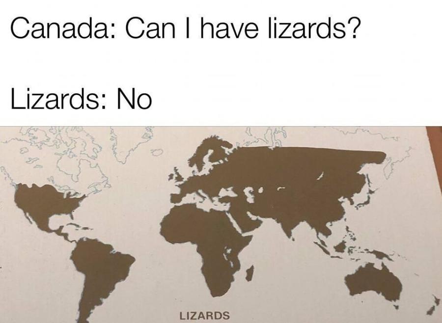 Canada: Can I have lizards? Lizards: No LIZARDS