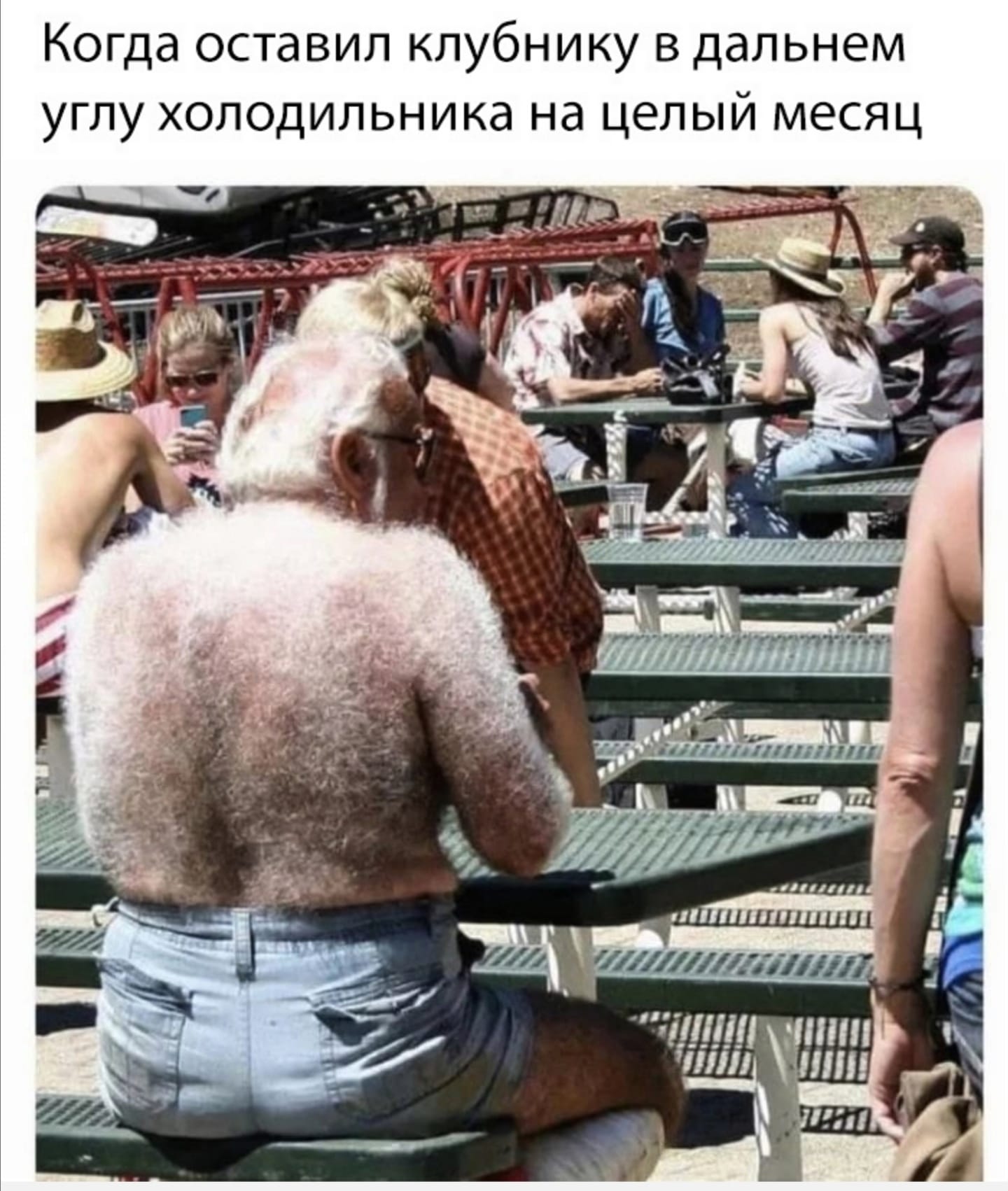 Когда оставил клубнику в дальнем углу холодильника на целый месяц
