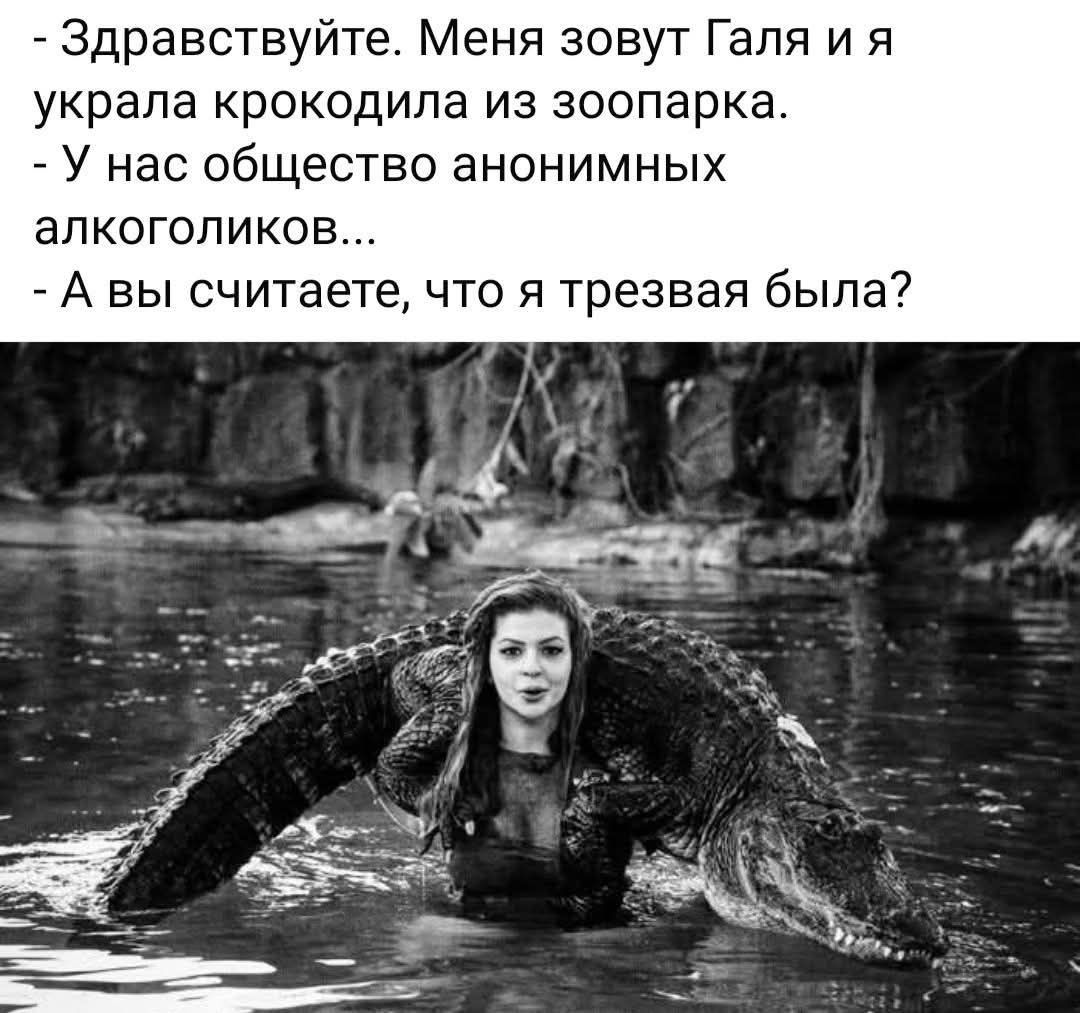 - Здравствуйте. Меня зовут Галя и я украла крокодила из зоопарка. - У нас общество анонимных алкоголиков... - А вы считаете, что я трезвая была?