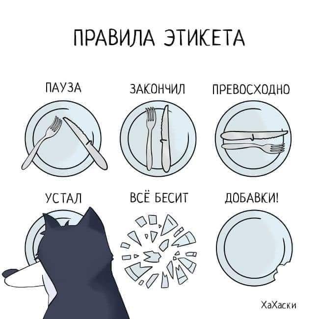 ПРАВИЛА ЭТИКЕТА ПАУЗА ЗАКОНЧИЛ ПРЕВОСХОДНО УСТАЛ ВСЁ БЕСИТ ДОБАВКИ! ХаХаски