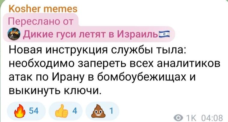 Kosher memes Переслано от Дикие гуси летят в Израильс Новая инструкция службы тыла: необходимо запереть всех аналитиков атак по Ирану в бомбоубежищах и выкинуть ключи. 54 4 1 1K 04:08