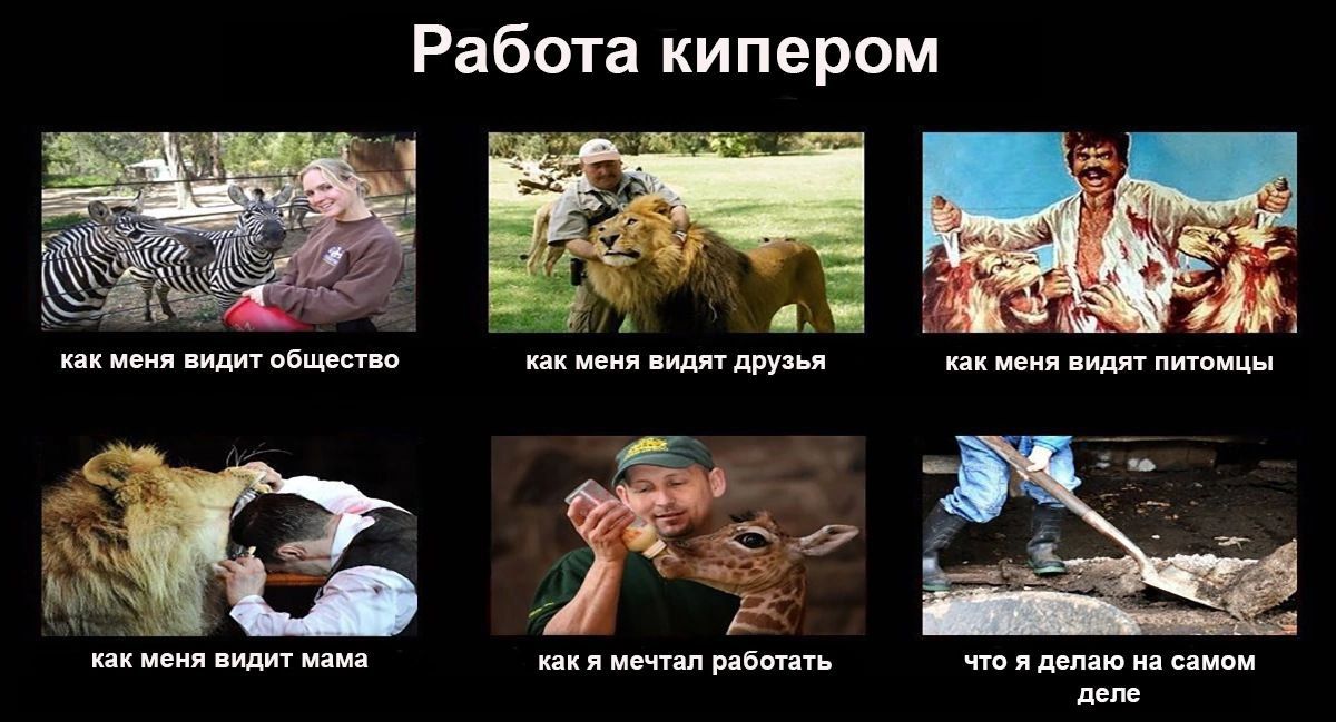 Работа кипером как меня видит общество как меня видят друзья как меня видят питомцы как меня видит мама как я мечтал работать что я делаю на самом деле