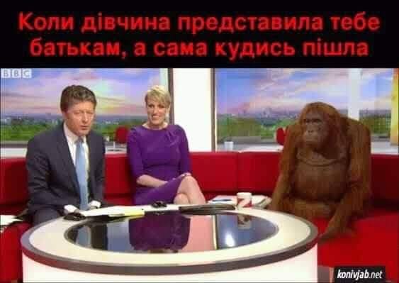 Коли дівчина представила тебе батькам, а сама кудись пішла konivjab.net
