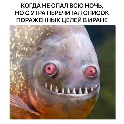 КОГДА НЕ СПАЛ ВСЮ НОЧЬ, НО С УТРА ПЕРЕЧИТАЛ СПИСОК ПОРАЖЕННЫХ ЦЕЛЕЙ В ИРАНЕ