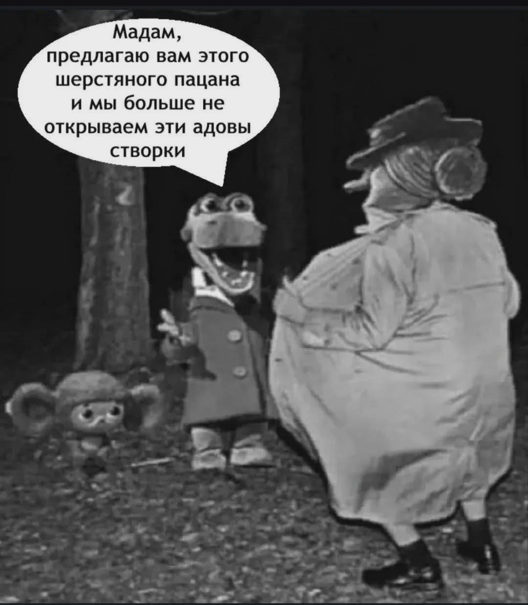 Мадам, предлагаю вам этого шерстяного пацана и мы больше не открываем эти адовы створки