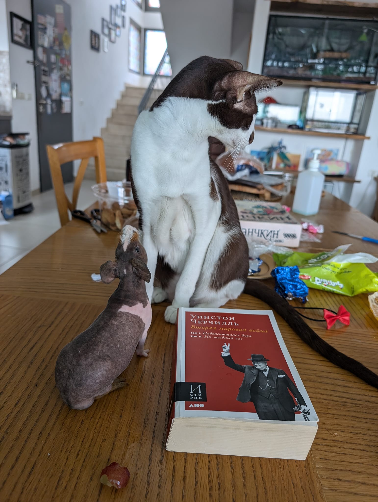 Уинстон ЧЕРЧилль Вторая мировая война том 1. Надвигающаяся буря том 11. Их звездный сто