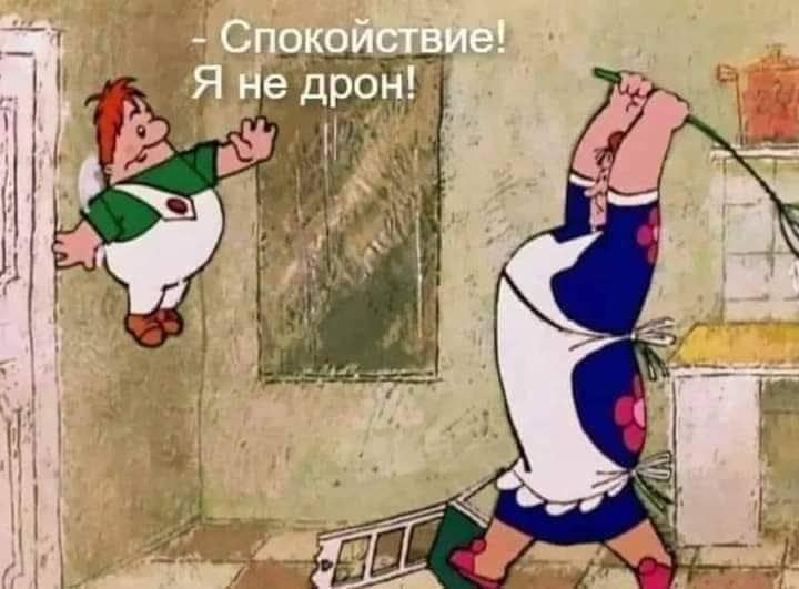 - Спокойствие! Я не дрон!